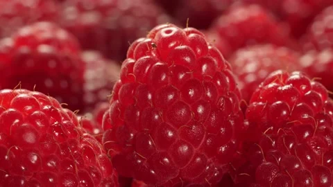 Moving close-up shot of fresh raspberry fruits with small beetle on top. 스톡 동영상 221872351