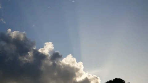 Moving cloud and sun beam light with blue sky and silhouette leaves tree in s Vídeo Stock 95796136