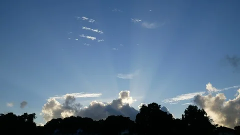 Moving cloud and sun beam light with blue sky and silhouette leaves tree in s Video stock 95796757