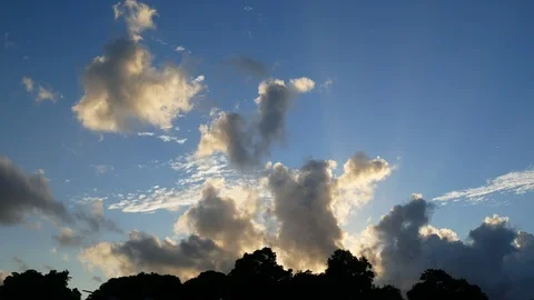 Moving cloud and sun beam light with blue sky and silhouette leaves tree in s Video stock 95807056