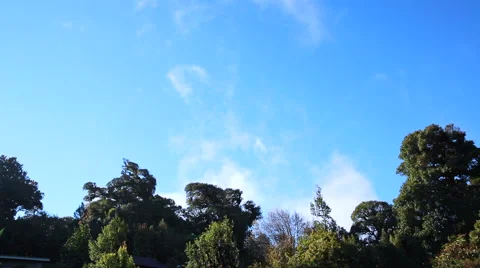 Moving cloud Video stock 59528425