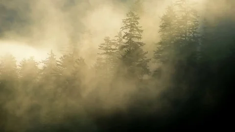 Moving cloud Stock Footage 80896520