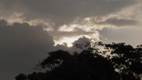 Moving Cloud sunset behind a tree time-lapse Stock Footage 292620798