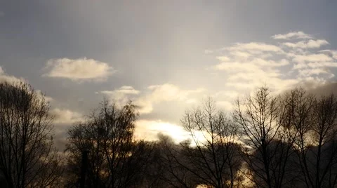 Moving clouds and shaking on a wind trees. Game of the light before sunset Stock Footage 46678758