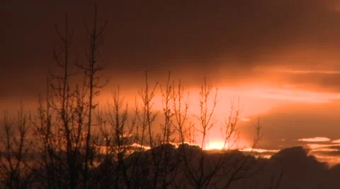 Moving clouds and silhouette trees Stock Footage 3620931