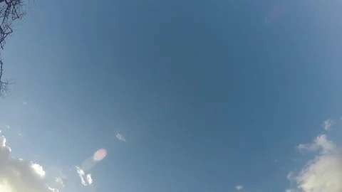 Moving clouds and trees Stock Footage 80888221