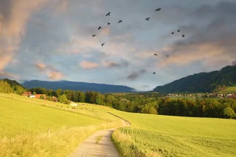 Moving clouds and wide fields Stock Footage 202435545