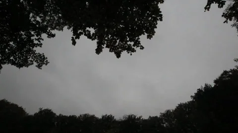 Moving Clouds between trees and Zoom Stock Footage 31885293