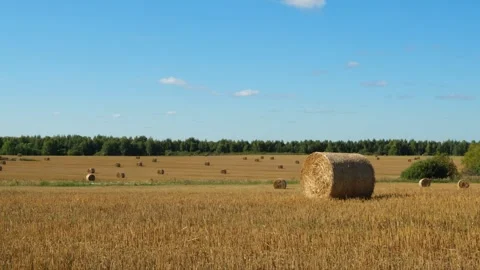 Moving clouds on blue sky above the field with haystacks of golden wheat in Stock Footage 283560492