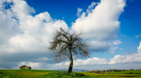 Moving clouds in a country landscape Stock Footage 43382106