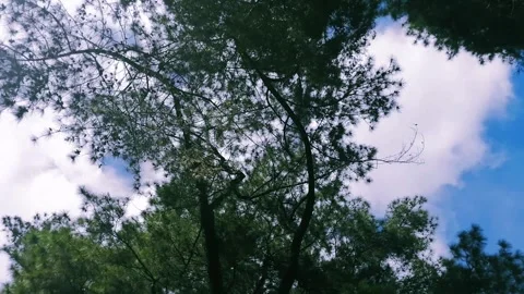 Moving clouds Stock Footage 240312167