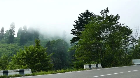 Moving Clouds in the Forest and Car on Road Stock Footage 189811672