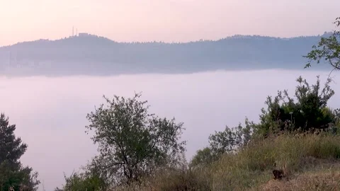 Moving clouds, heaven, top view Stock-Footage 162372330