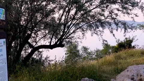 Moving clouds, heaven, top view Stock-Footage 162372391