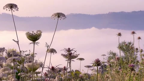 Moving clouds, heaven, top view Stock-Footage 162372867