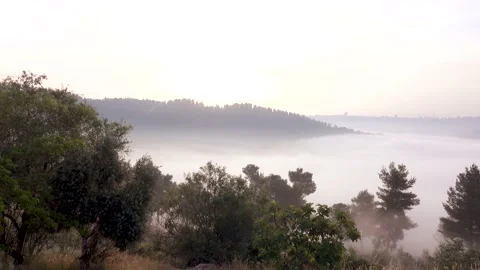 Moving clouds, heaven, top view, low clouds Stock-Footage 162373964