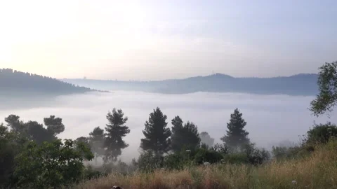 Moving clouds, heaven, top view, low clouds 스톡 동영상 170242730