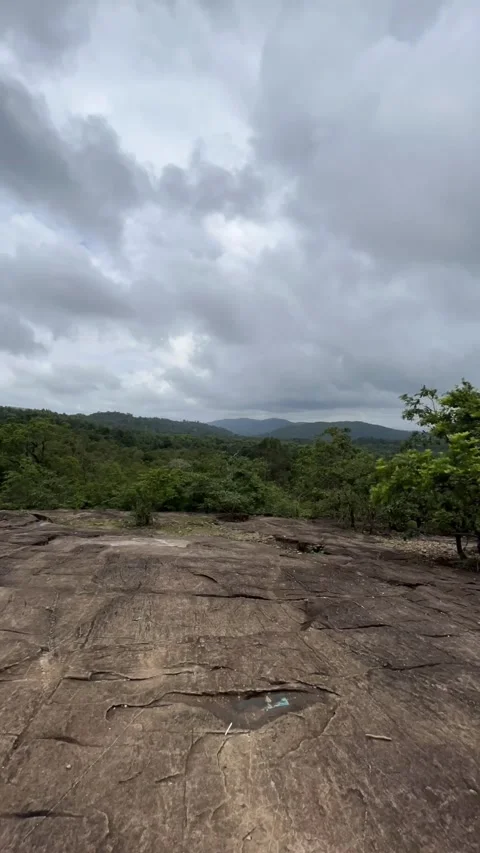 Moving Clouds in a jungle Stock Footage 276829758