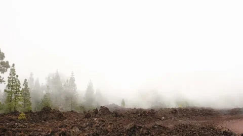  moving clouds in mountain forest Stock Footage 170254680