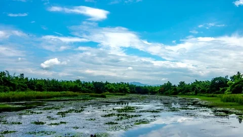 Moving clouds over calm lake. Stock Footage 76105014