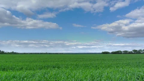 Moving clouds over field Video stock 75452490