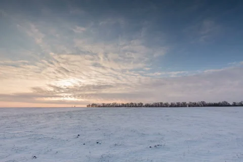 Moving clouds over the golden grasses studded snow in the steppe in the winter. Vídeo Stock 59747674