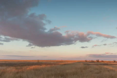 Moving clouds over the golden grasses studded snow in the desert in the winter. 動画素材 60055805
