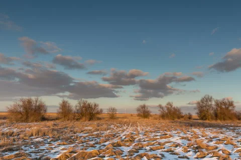 Moving clouds over the golden grasses studded snow in the steppe in the winter. Stock Footage 60055818