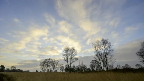 Moving clouds over a natural landscape with heather and Birch trees Stock Footage 235051455
