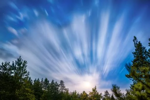 Moving clouds over night forest Foto stock
