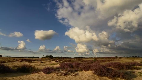 Moving clouds over sand dunes and grass and heather Video stock 80215171