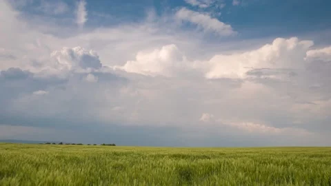 Moving clouds over a wheat field Видео 130909210