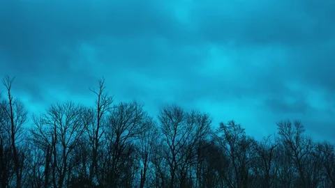 Moving Clouds over Woods at Night on the Edge of a Forest Stock-Footage 90707424