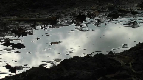 Moving clouds reflected in puddle of water moody Stock Footage 46610207