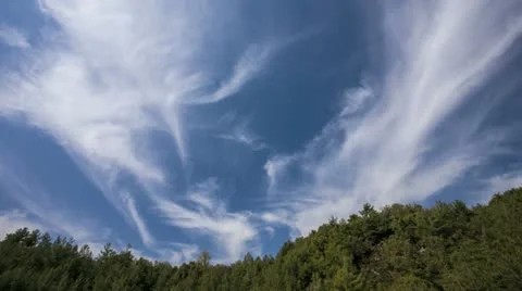 Moving up clouds on sky and forest below time lapse Stock Footage 11129588