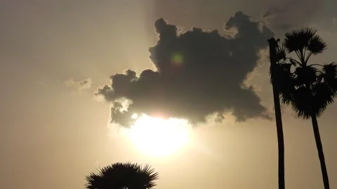 Moving clouds - sunset time - palm tree . Stock Footage 244106011