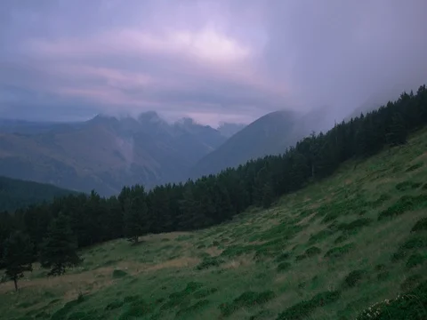 Moving clouds through the forest in the mountains Stock Footage 80726533
