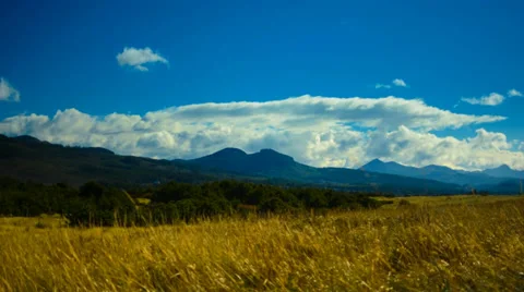 Moving Clouds Time Lapse over Beach Grass Stock Footage 37531798