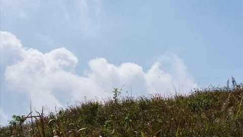 Moving clouds Timelapse Stock Footage 74142091