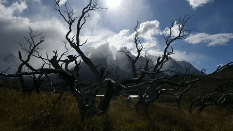 Moving clouds timelapse torres del paine los cuernos patagonia Stock Footage 119498911