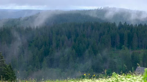 Moving of cloudy fog between the mountains. mountain weather concept Stock Footage 280776545