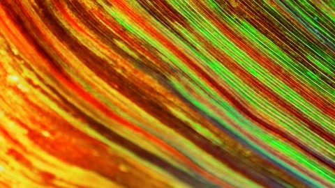 Moving colored stripes, animation Video stock 167093490