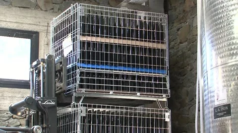 Moving crates of empty wine bottles Stock Footage 22413987