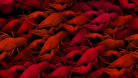 Moving Crayfishes background. Seamless loop. Stock Footage 101657630