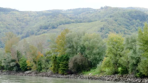 Moving on the Danube, Austria Stock Footage 142133236