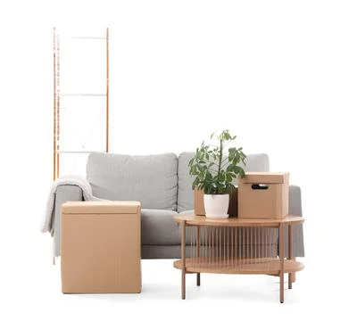Moving day with cardboard boxes, potted plant, and sofa, new home relocation  Stock Photos