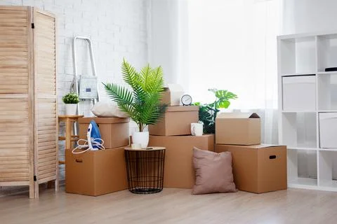 Moving day concept - stack of cardboard boxes, houseplants and other domestic Foto stock