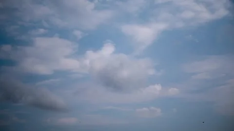 Moving Daytime Clouds and Birds Timelapse in Blue Sky Stock Footage 318358486