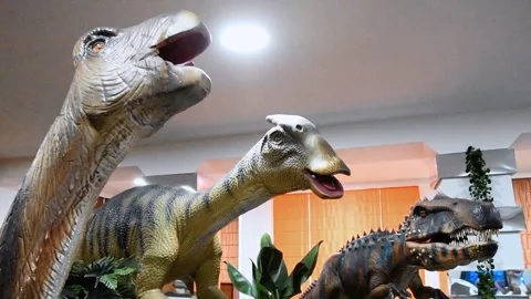 Moving dinos park Stock Footage 240501779