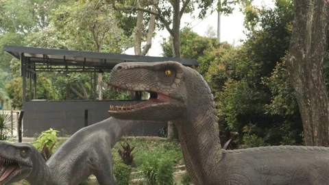 Moving Dinosaur Head Stock Footage 249465513